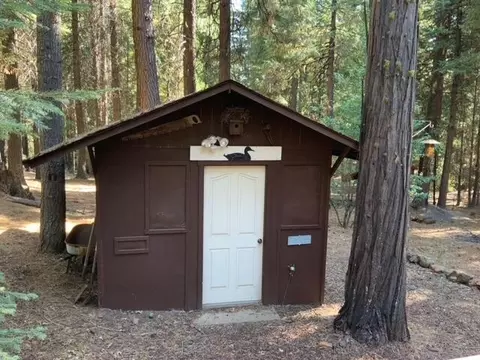 8683 Lake Mccumber Rd, Shingletown, CA 96088 photo 22