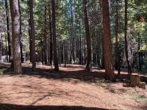 8683 Lake Mccumber Rd, Shingletown, CA 96088 photo 24