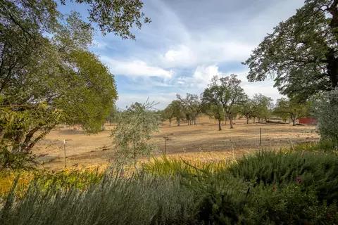 21833 Squaw Grass Trl, Redding, CA 96003 photo 50