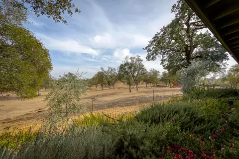 21833 Squaw Grass Trl, Redding, CA 96003 photo 49