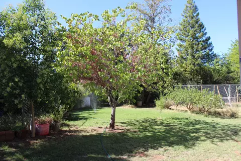 3576 Orion Way, Redding, CA 96002 photo 18