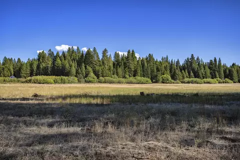9419 Thatcher Mill Rd, Shingletown, CA 96088 photo 2