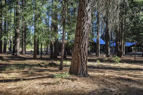 9419 Thatcher Mill Rd, Shingletown, CA 96088 photo 32