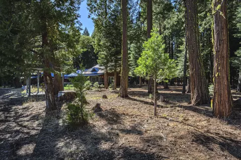 9419 Thatcher Mill Rd, Shingletown, CA 96088 photo 10