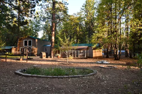 44909 Pine Shadows Rd, Mcarthur, CA 96056 photo 66