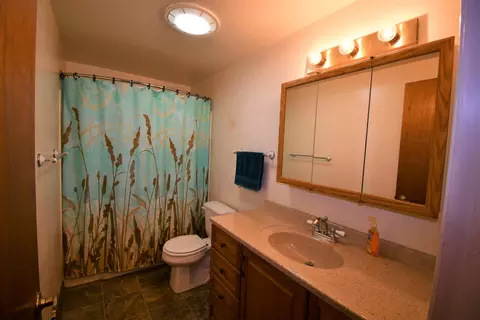 44909 Pine Shadows Rd, Mcarthur, CA 96056 photo 25