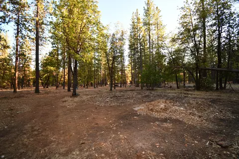 44909 Pine Shadows Rd, Mcarthur, CA 96056 photo 58