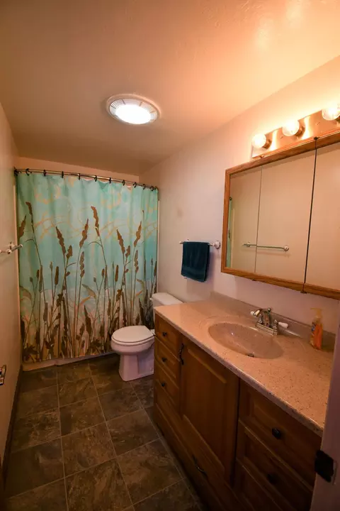 44909 Pine Shadows Rd, Mcarthur, CA 96056 photo 26