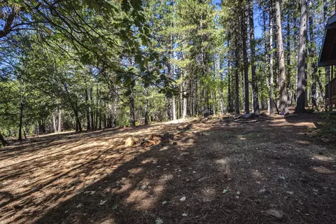 6779 Red Rock Rd, Shingletown, CA 96088 photo 24
