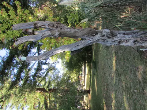 10108 Salmon Creek Rd, Redding, CA 96003 photo 58