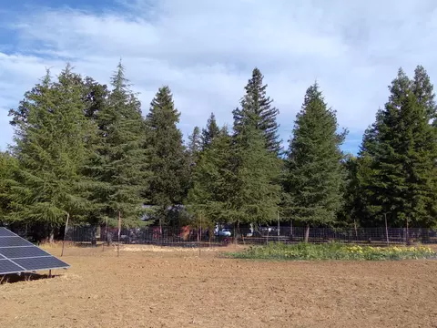 10108 Salmon Creek Rd, Redding, CA 96003 photo 59