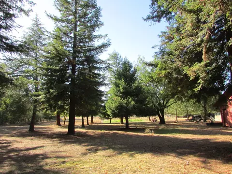 10108 Salmon Creek Rd, Redding, CA 96003 photo 54