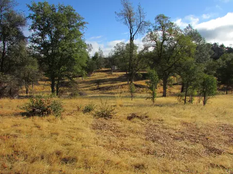 15955 Delano Dr, Redding, CA 96001 photo 21