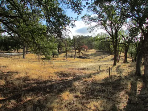 15955 Delano Dr, Redding, CA 96001 photo 18