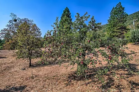 29575 Snuffy Ln, Round Mountain, CA 96084 photo 30