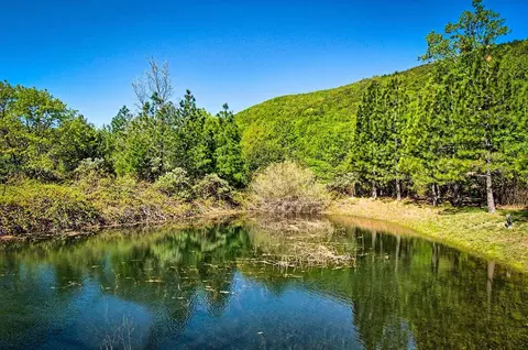 29575 Snuffy Ln, Round Mountain, CA 96084 photo 33