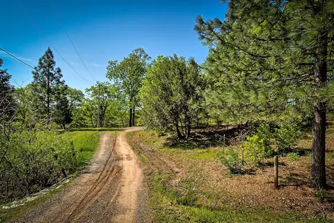 29575 Snuffy Ln, Round Mountain, CA 96084 photo 27