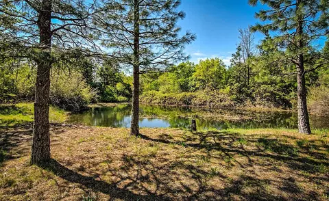 29575 Snuffy Ln, Round Mountain, CA 96084 photo 34