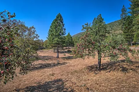 29575 Snuffy Ln, Round Mountain, CA 96084 photo 28