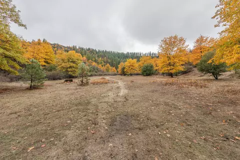 521 Mountain View Dr, Lewiston, CA 96052 photo 33