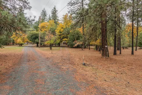 521 Mountain View Dr, Lewiston, CA 96052 photo 20
