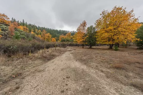 521 Mountain View Dr, Lewiston, CA 96052 photo 34
