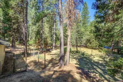 30794 Thumper Dr, Shingletown, CA 96088 photo 22