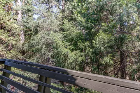 30794 Thumper Dr, Shingletown, CA 96088 photo 15