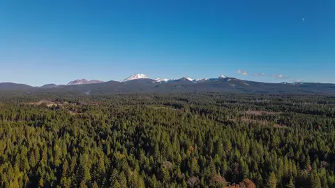 7911 Long Hay Flat Rd, Shingletown, CA 96088 photo 3