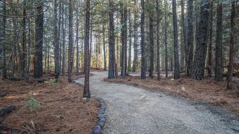 7911 Long Hay Flat Rd, Shingletown, CA 96088 photo 5
