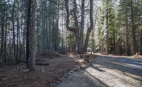 7911 Long Hay Flat Rd, Shingletown, CA 96088 photo 43