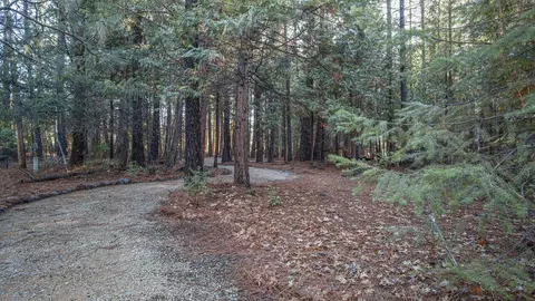 7911 Long Hay Flat Rd, Shingletown, CA 96088 photo 46