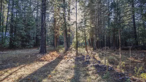 7911 Long Hay Flat Rd, Shingletown, CA 96088 photo 40