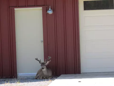 6850 Haas Rd, Anderson, CA 96007 photo 19