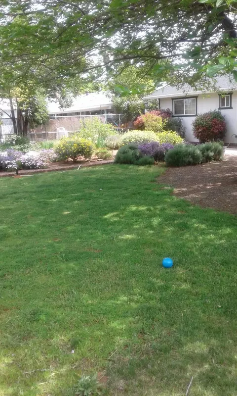 1252 Lorraine Dr, Redding, CA 96002 photo 39