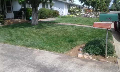 1252 Lorraine Dr, Redding, CA 96002 photo 41