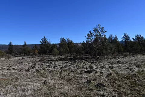 Sunset Lane, Mcarthur, CA 96056