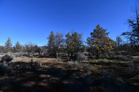 Sunset Lane, Mcarthur, CA 96056 photo 11