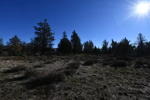 Sunset Lane, Mcarthur, CA 96056 photo 9