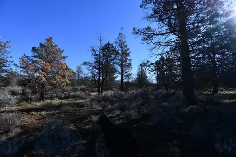 Sunset Lane, Mcarthur, CA 96056 photo 10
