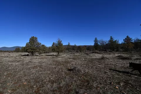 Sunset Lane, Mcarthur, CA 96056 photo 8