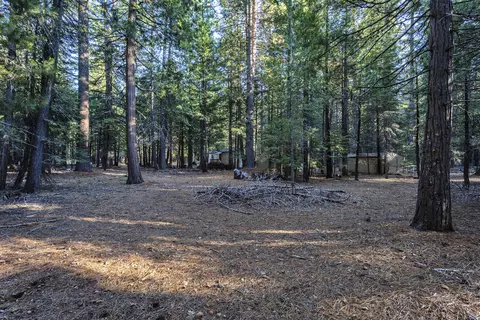9352 Pharisee Dr, Shingletown, CA 96088 photo 22