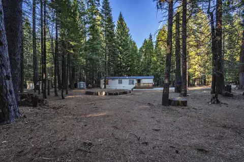 9352 Pharisee Dr, Shingletown, CA 96088 photo 29