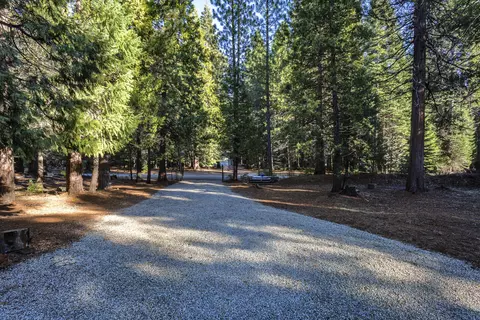 9352 Pharisee Dr, Shingletown, CA 96088 photo 16
