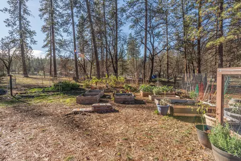 215 Wellock Rd, Lewiston, CA 96052 photo 33