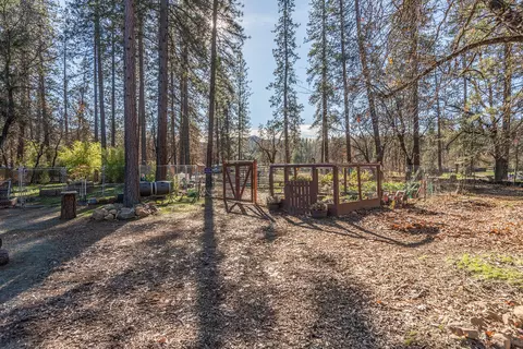 215 Wellock Rd, Lewiston, CA 96052 photo 29