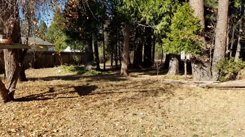 37298 Cypress Ave, Burney, CA 96013 photo 30