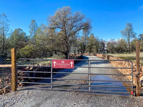 26846 Aslan Rd, Shingletown, CA 96088 photo 5