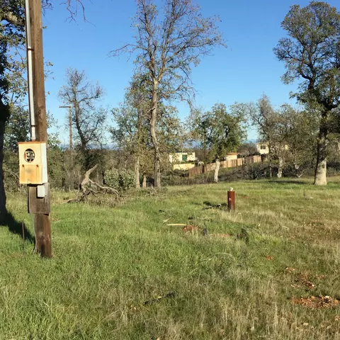 14141 Ohio Buckeye Ln, Igo, CA 96047 photo 4