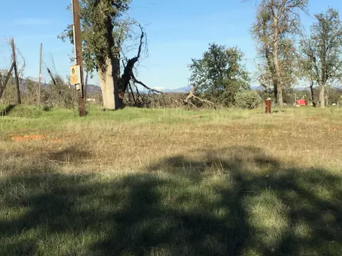 14141 Ohio Buckeye Ln, Igo, CA 96047 photo 9